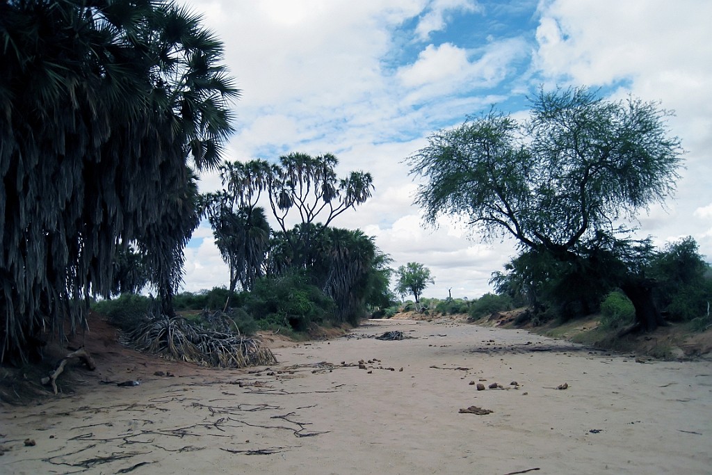Kenia (365).jpg